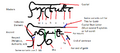 Mishatocomparision.png